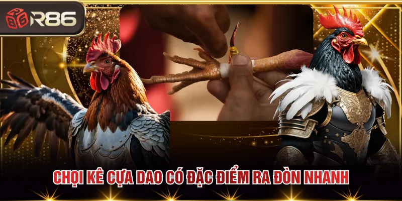 Chọi kê cựa dao có đặc điểm ra đòn nhanh