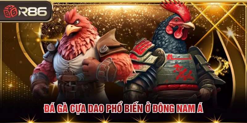 Đá gà cựa dao phổ biến ở Đông Nam Á